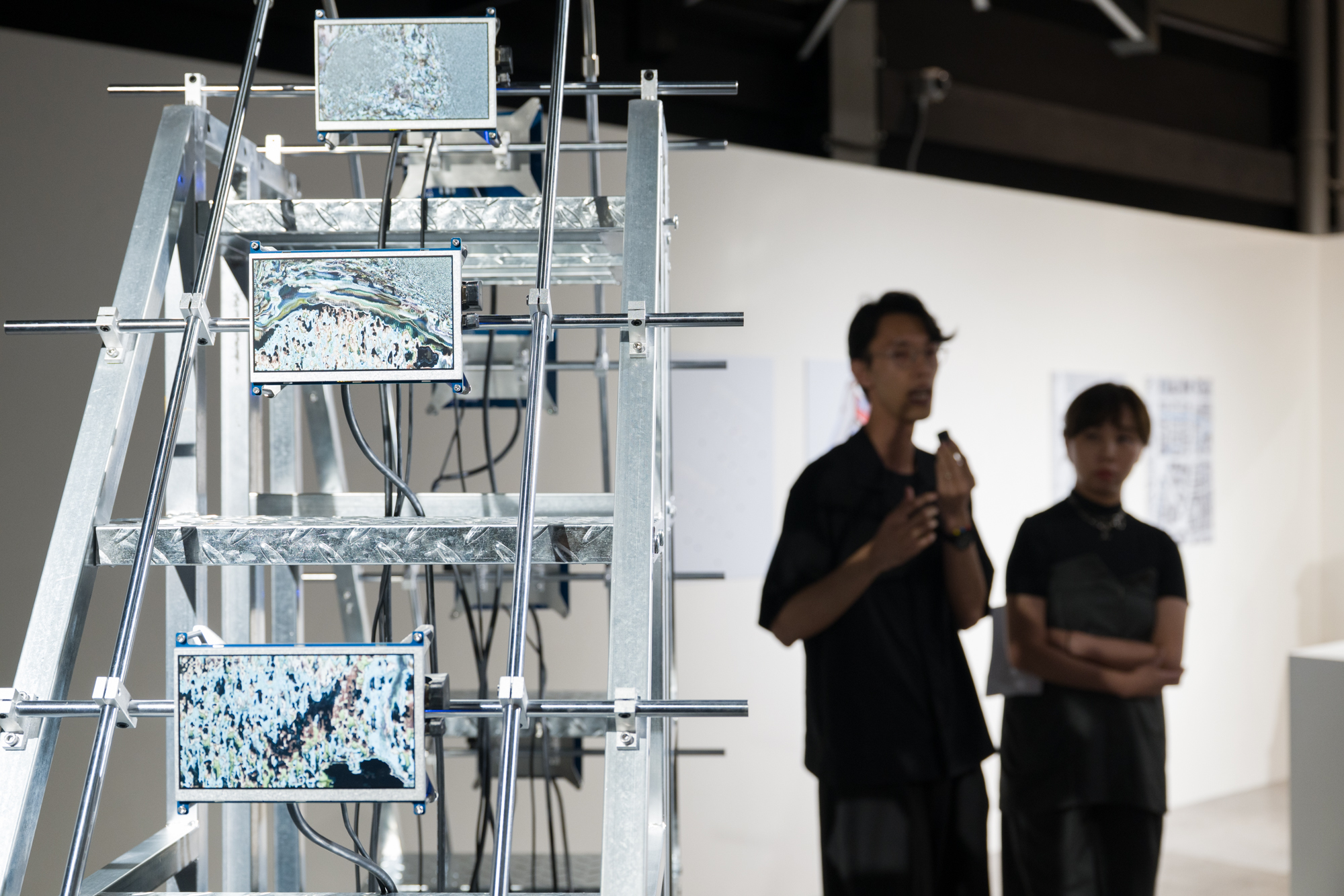 Foreseen Agency(Pat Wong, Kachi Chan)와 작품 Connected Mosses
