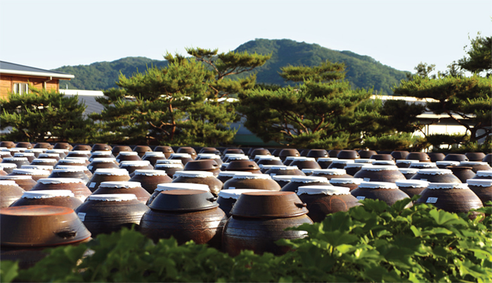 Jangdokdae (Soy Jar Terrace). An area outside the kitchen used to store large brown-glazed pottery jars containing soy paste, soy sauce, and chili paste. Korean pottery jars allow for proper ventilation, so they are perfect for preserving fermented food. The ideal location for Jangdokdae would be an area with sufficient sunlight and ventilation.